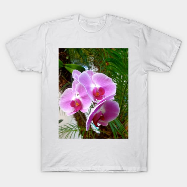 Lavender Orchid T-Shirt by jennyleeandjim